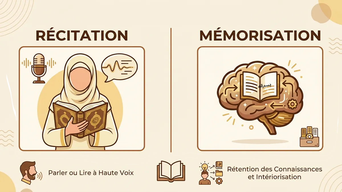 Différence entre qari et hafiz dans l’apprentissage du Coran.